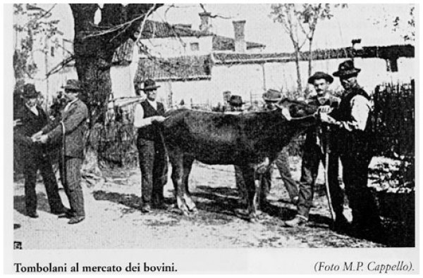 Viehmarkt in Tombolo
